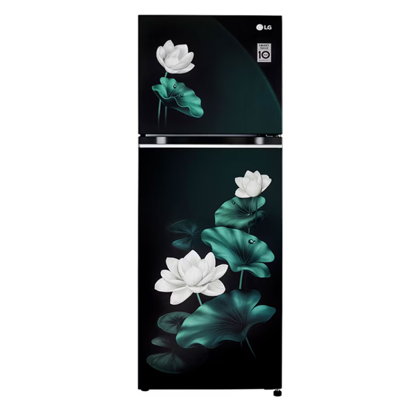 LG 246L Double Door Refrigerator with Smart Inverter Compressor, Convertible, Multi-Air Flow, Emerald Lotus, 3 Star