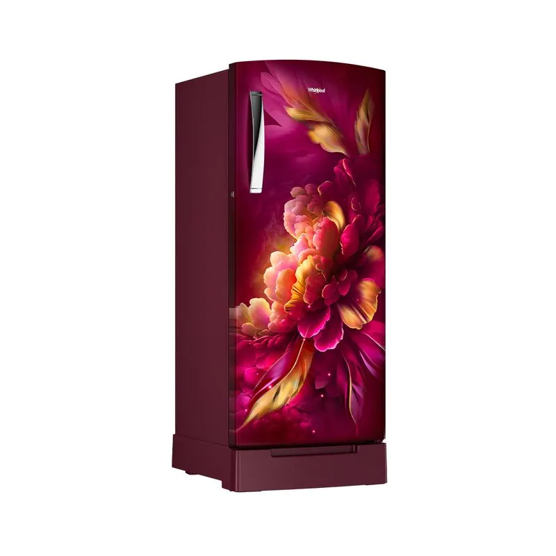 Icemagic Pro 207L 3 Star Single Door Refrigerator with Base Drawer - Mulia - Image 2