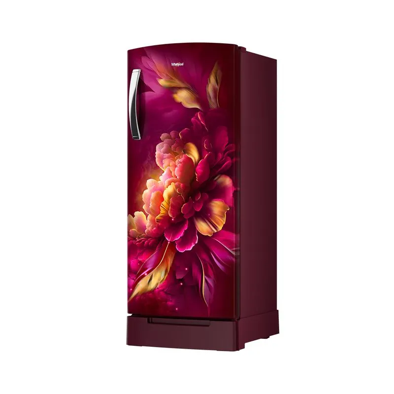Icemagic Pro 207L 3 Star Single Door Refrigerator with Base Drawer - Mulia - Image 3