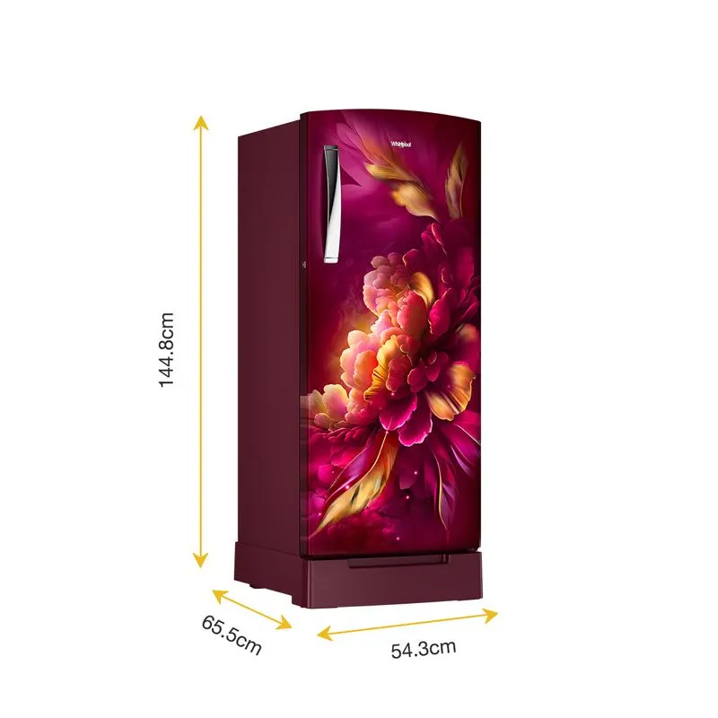Icemagic Pro 207L 3 Star Single Door Refrigerator with Base Drawer - Mulia - Image 4