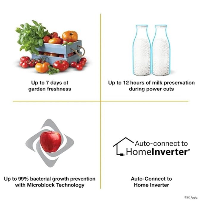 Icemagic Pro 207L 3 Star Single Door Refrigerator with Base Drawer - Mulia - Image 5