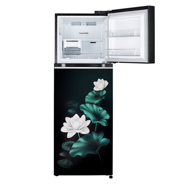 LG 246L Double Door Refrigerator with Smart Inverter Compressor, Convertible, Multi-Air Flow, Emerald Lotus, 3 Star - Image 2