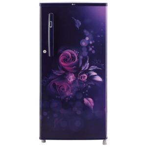 LG Euphoria Finish, Direct Cool Single Door Refrigerator(185 L, 2 STAR, BLUE)