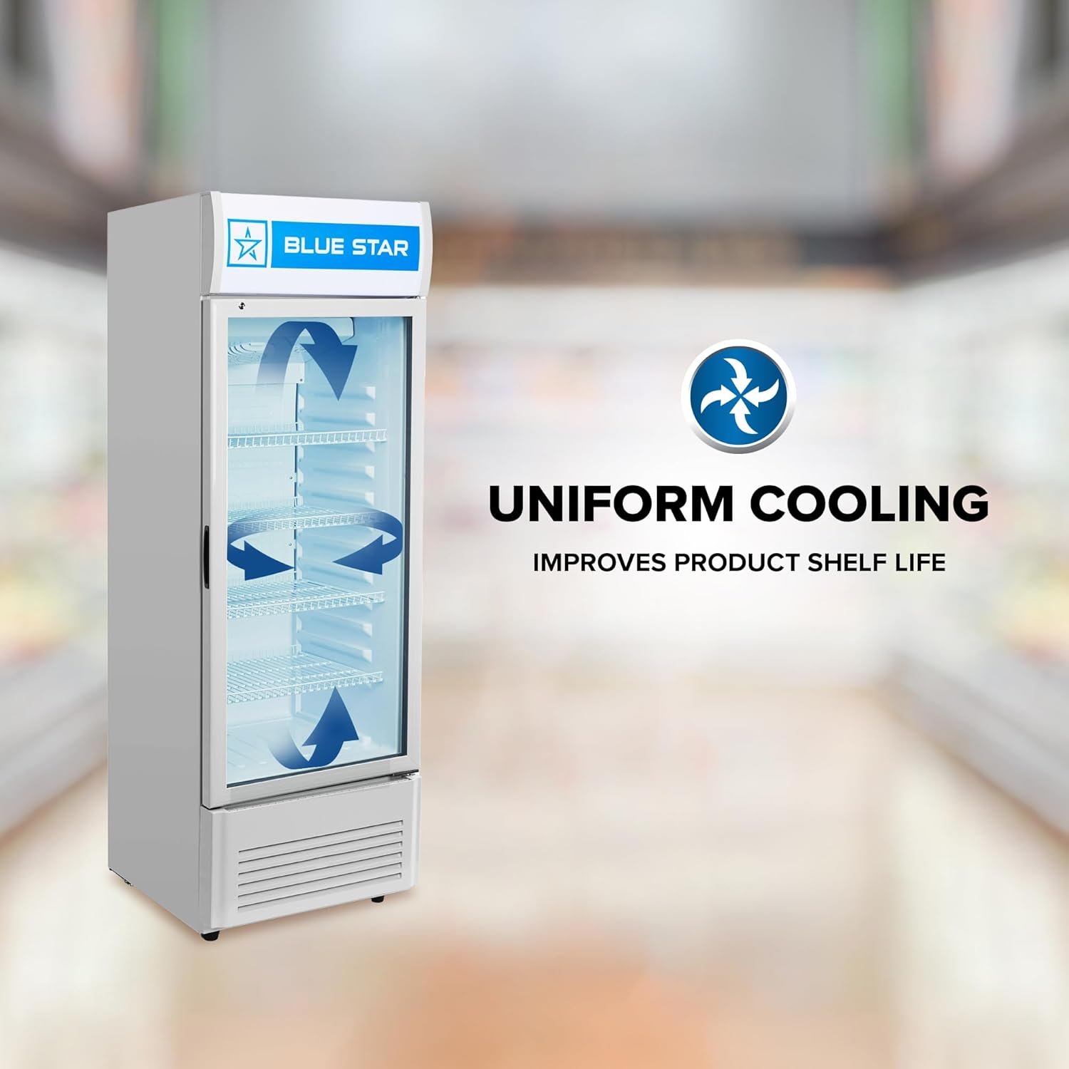 BlueStar SC Series | Floor Standing | Visi Cooler 448 Litres - Image 2