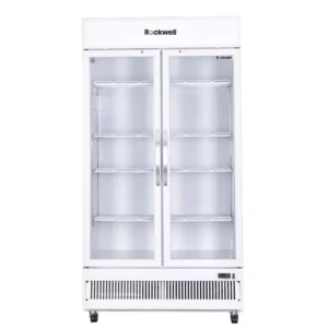 ROCKWELL 872 L Double Door Glass Visi Cooler, RVC1100C
