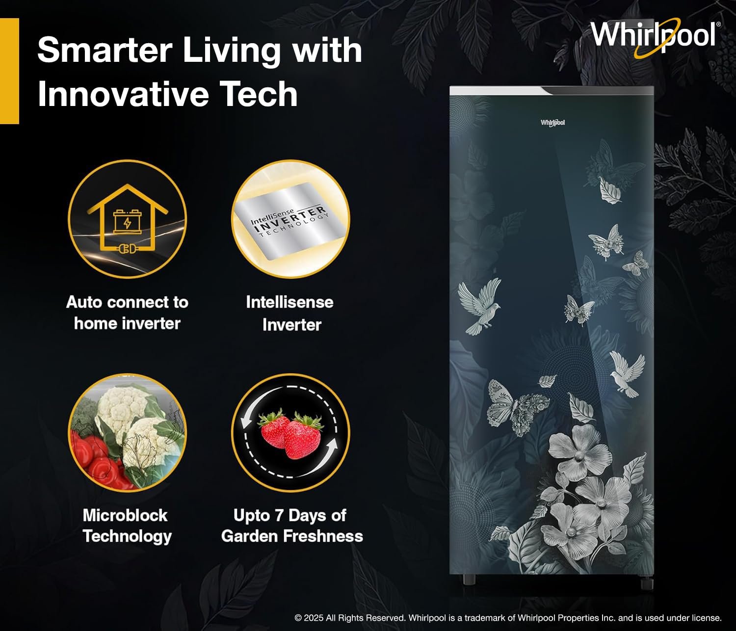 Whirlpool * 192 L 4 Star Glassdoor Inverter Direct Cool Ice Magic Pro Single Door Refrigerator (215 IMPRO GD PRM 4S INV SILVIA) - Image 7