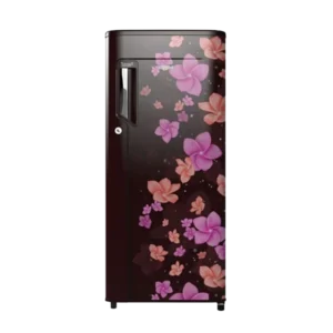 Whirlpool * 190 L 3 Star Direct-Cool Single Door Refrigerator (205 IMPC ROY 3S WINE RADIANCE, Wine Radiance)
